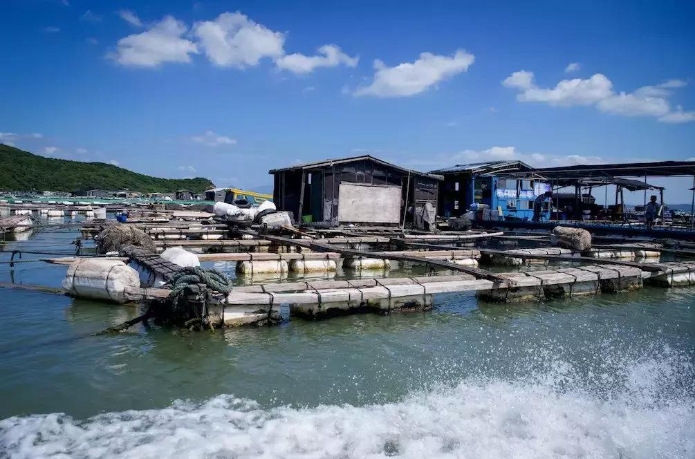 东山岛像浪漫的土耳其,东山岛在哪吃海鲜便宜又新鲜