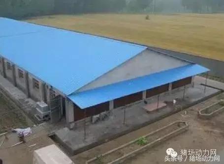 猪场分娩舍有哪些重点,猪场正常分娩接产的操作流程