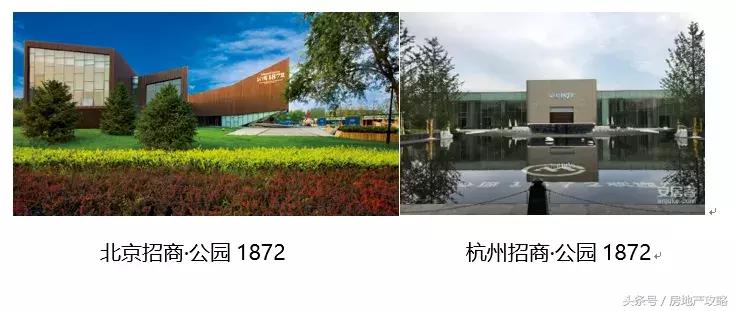 招商品牌行：跨越千里鉴巨擘领航之道