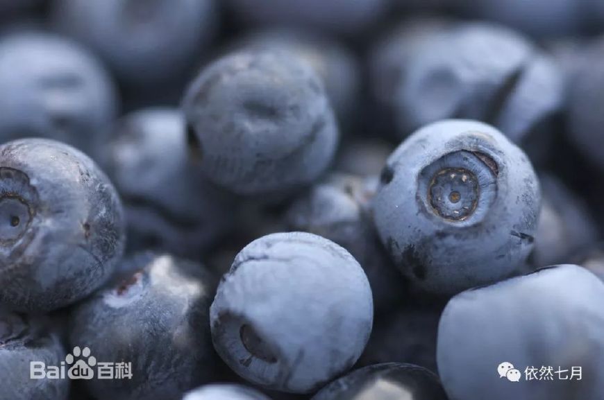 2岁儿童吃什么护眼,儿童护眼饮食搭配