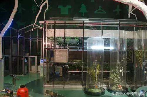 带孩子去北京不建议去哪,带孩子去北京没预约去哪玩