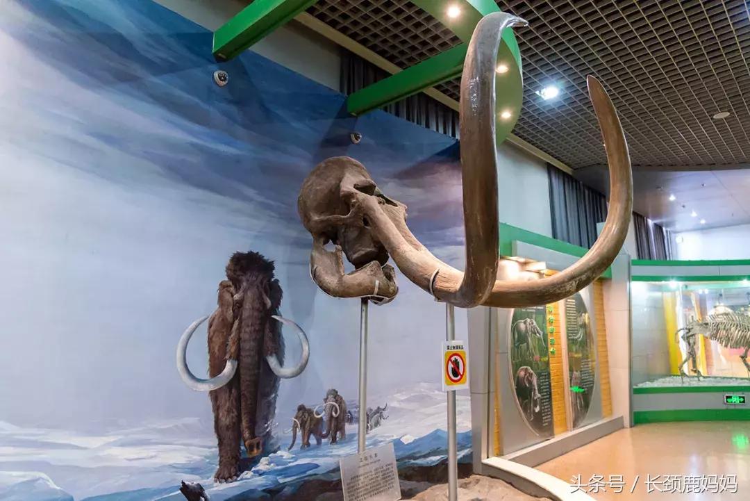 带孩子去北京不建议去哪,带孩子去北京没预约去哪玩