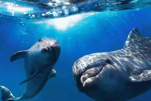 除迪士尼外适合小朋友玩的乐园,除了迪士尼哪些游乐园适合孩子玩