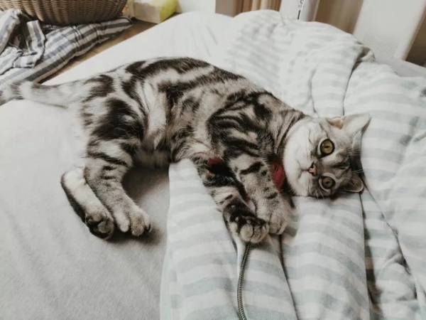 和前任分手了怎么追回,和前任分手希望ta过得怎么样