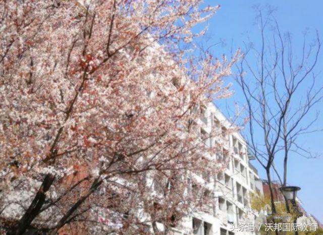 上海10个托福考点攻略，“五星级”考场高分喷雾