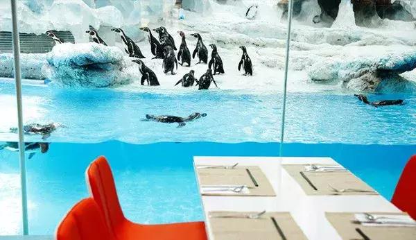 如何科普珠海长隆知识,珠海长隆心得和感受