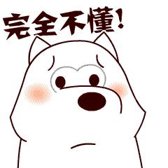 男子带百万现金骗丈母娘,小伙骗了丈母娘180万