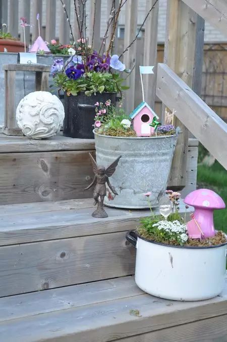 适合小庭院的盆栽,小盆栽推荐diy