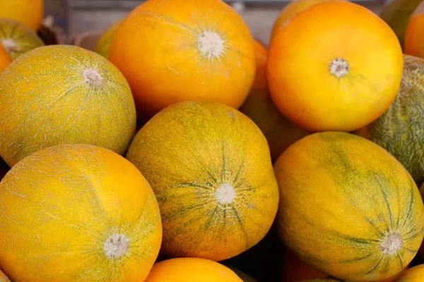 走遍天涯海角忘不了歌名叫什么,走遍天涯海角忘不了原唱