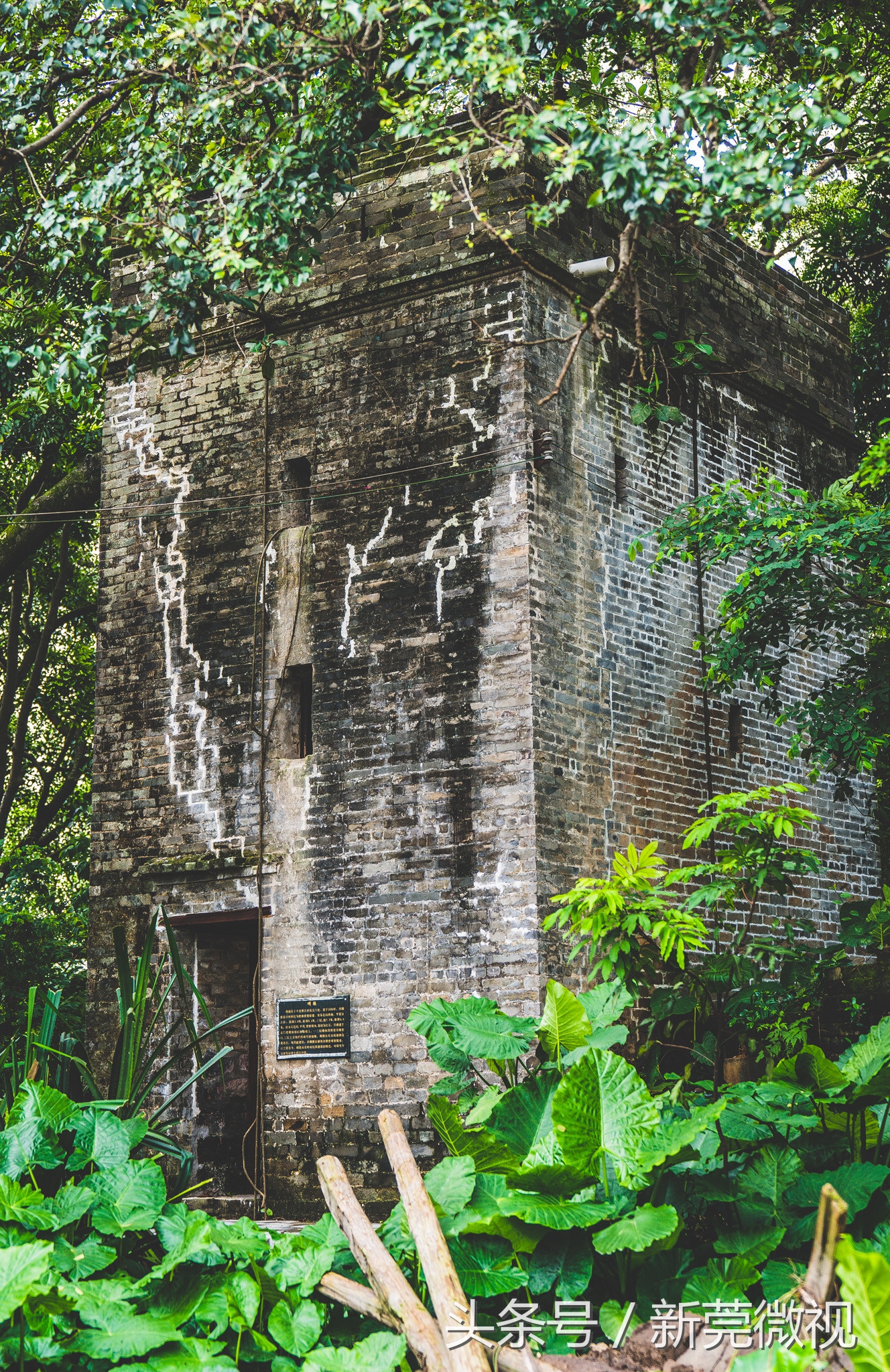 东莞一大古村,东莞具有世界工厂的称号