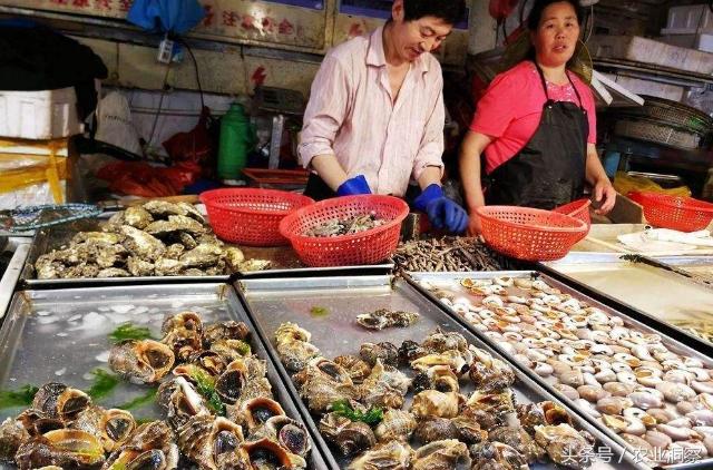 农村媳妇点子多当起“好猪”中介！家庭收入又翻倍，月入上万元！