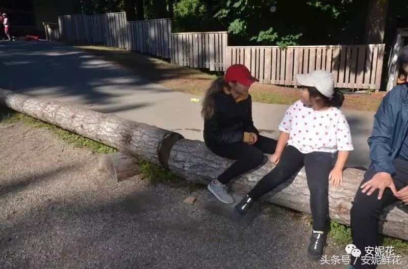 浸入式体验北美教育，安妮花2018童子军夏令营跨国行记