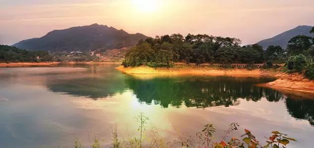 带你看广州最美的夜景,带你看广州一线江景