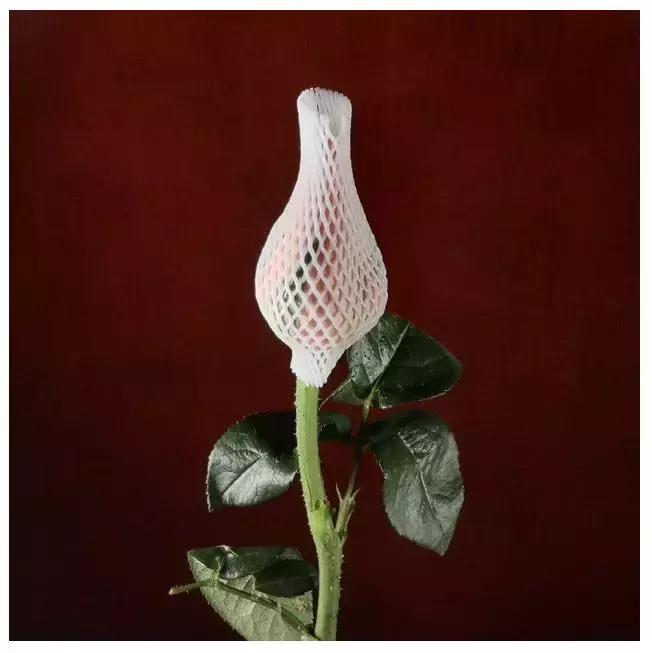 手机拍摄九宫格,手机摄影九宫格怎么设置