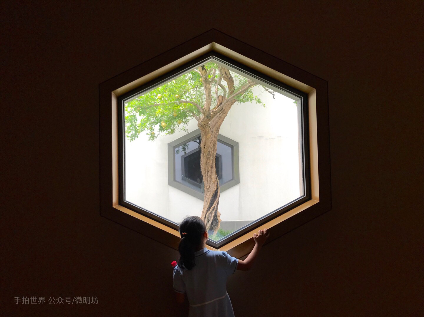 微明手拍观（续-1）-微明本色摄影理念