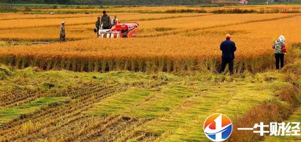 骑着涨价的哈雷去租涨价的房车,喝着涨价的可乐,美国人民喜相逢