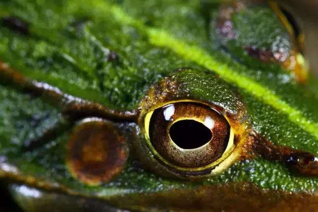 张程皓图片,张程皓照片