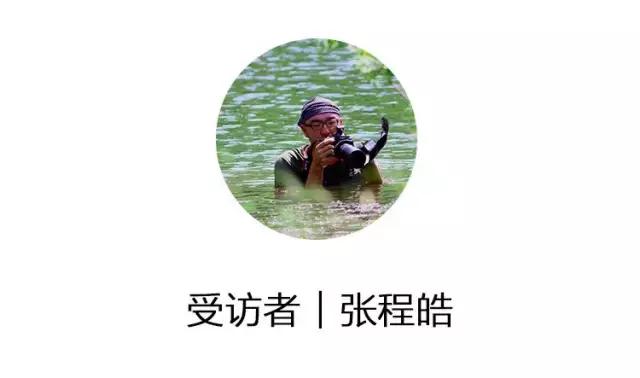 张程皓图片,张程皓照片