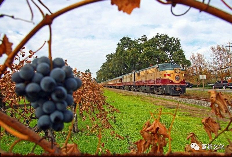 纳帕的红酒,纳帕葡萄酒