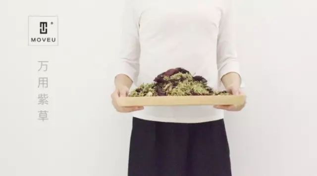 “万用”紫草膏，解决了你多少皮肤烦恼？