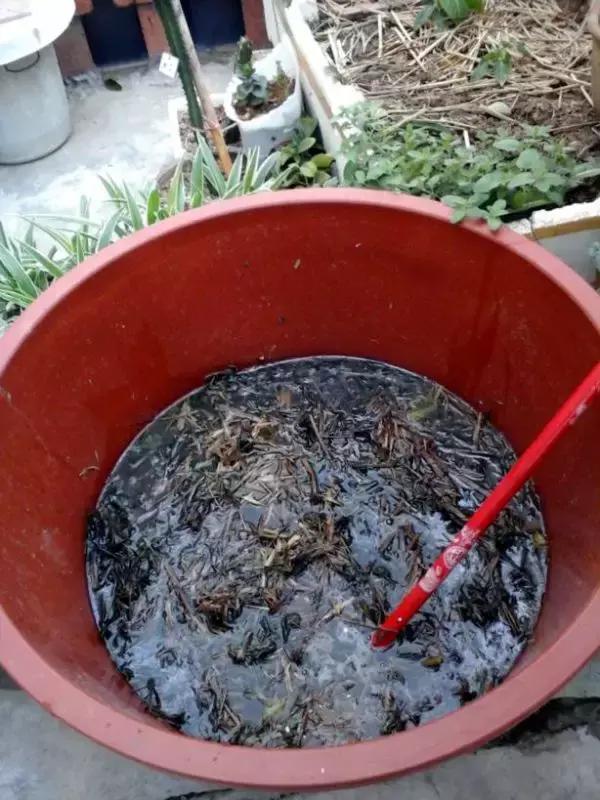 为了种花，老婆把老家的水缸偷来了，骗老妈说腌咸菜！