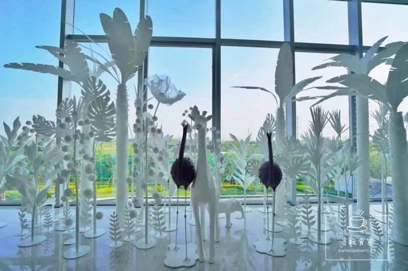 暑期去山东龙口,拍ins风网红大片,看没有游客蔚蓝大海!