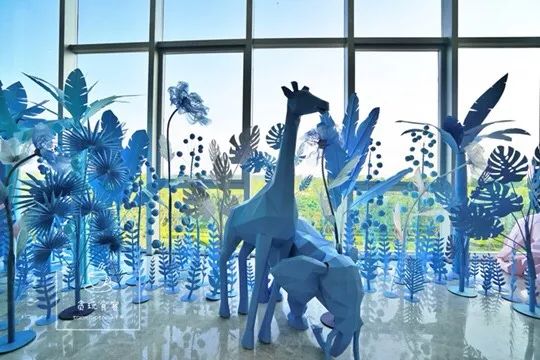 暑期去山东龙口,拍ins风网红大片,看没有游客蔚蓝大海!