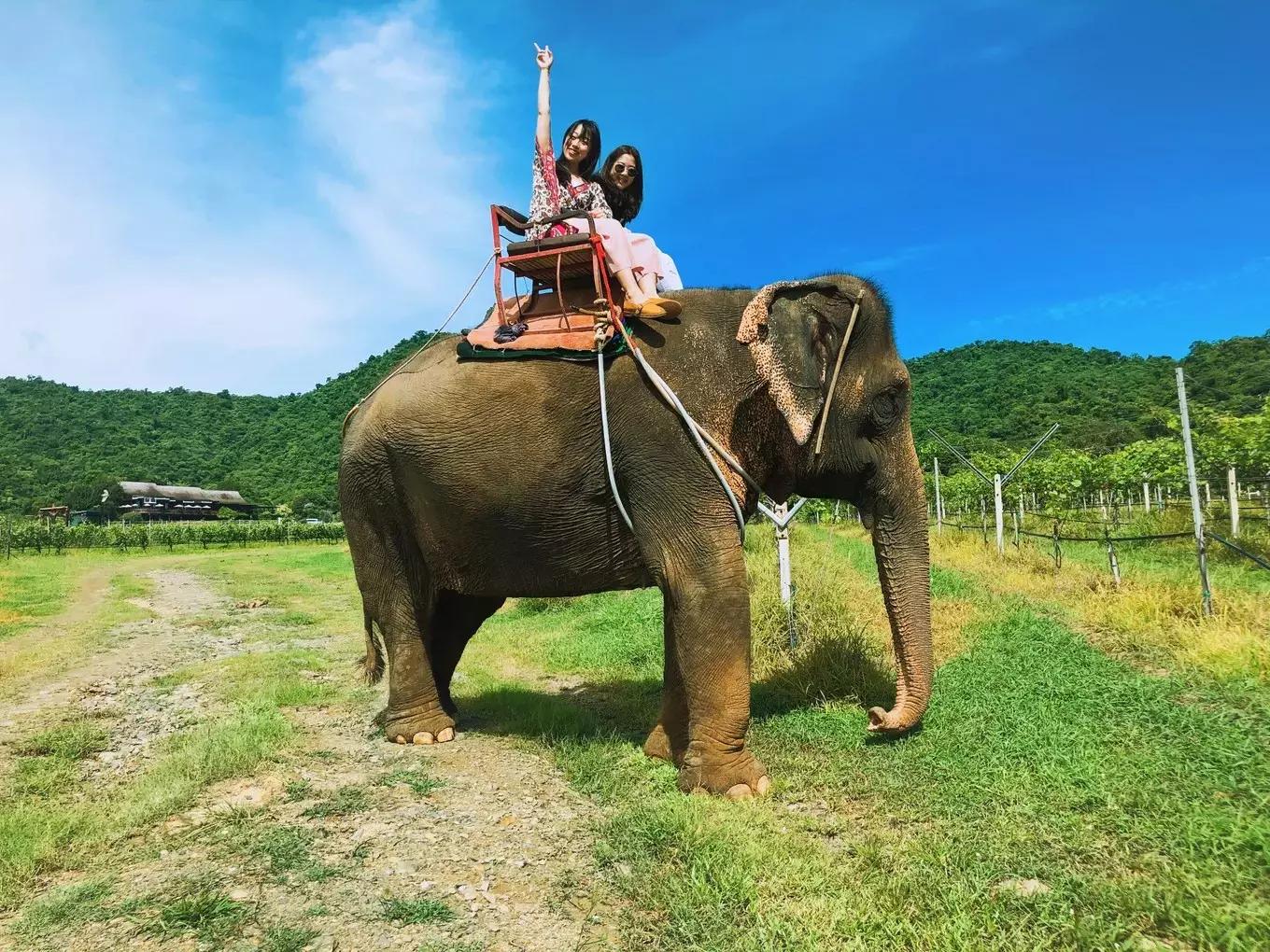 拥抱你的烈日暴雨，开启曼谷华新六日度假购物模式（下）