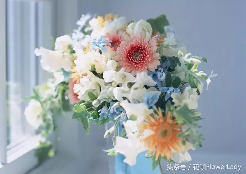 插花初学者入门需要准备什么,新手入门插花课