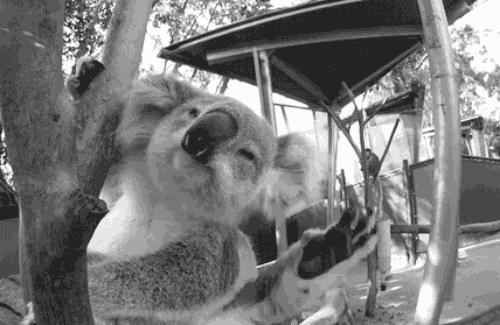 这个冬天让我们相约南半球的澳洲,旅行我的澳洲之旅