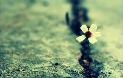 为什么有人命运多波折,什么样的人容易命运多舛