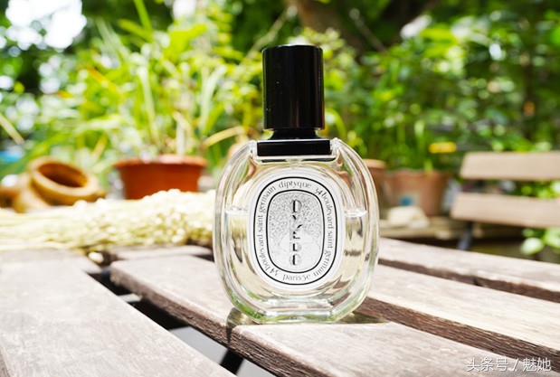 香味可持续一整天的10款香水,令人无法抗拒的香水