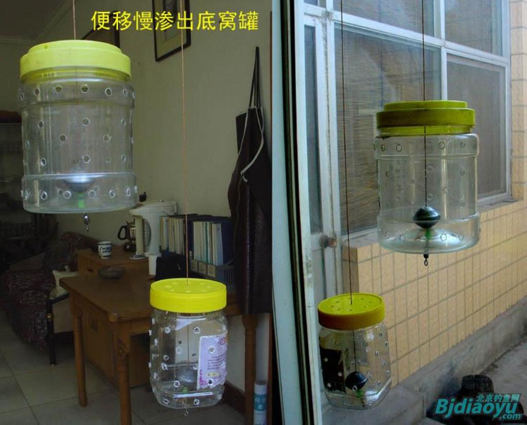 我的筏钓之乐全集,我的筏钓之乐完整版