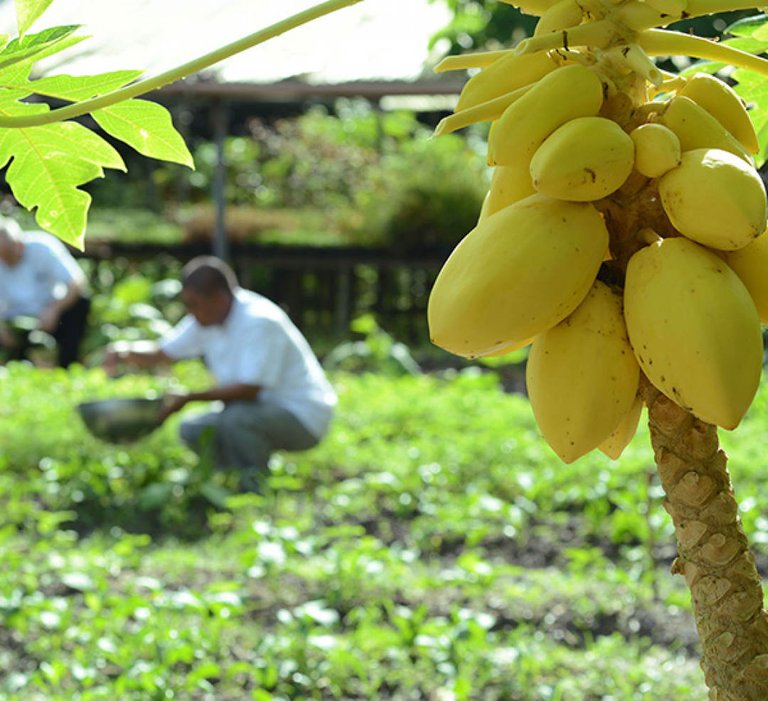 号称小马尔代夫的东南亚海岛,马尔代夫菲律宾小岛