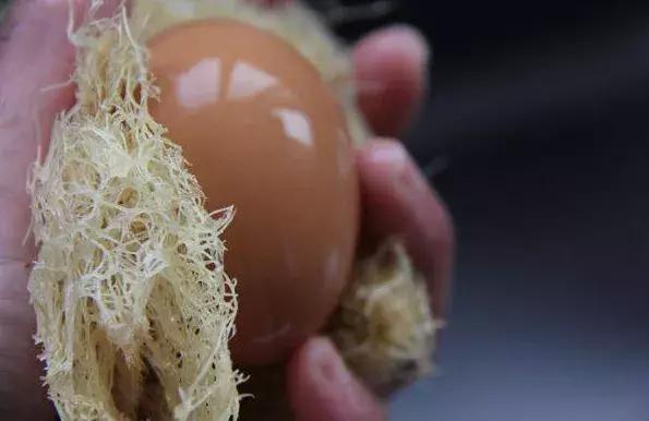 煮蛋时怎么防止蛋壳不裂,煮蛋防止开裂