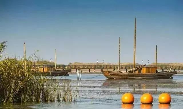 常州吃湖鲜,常州景观大道