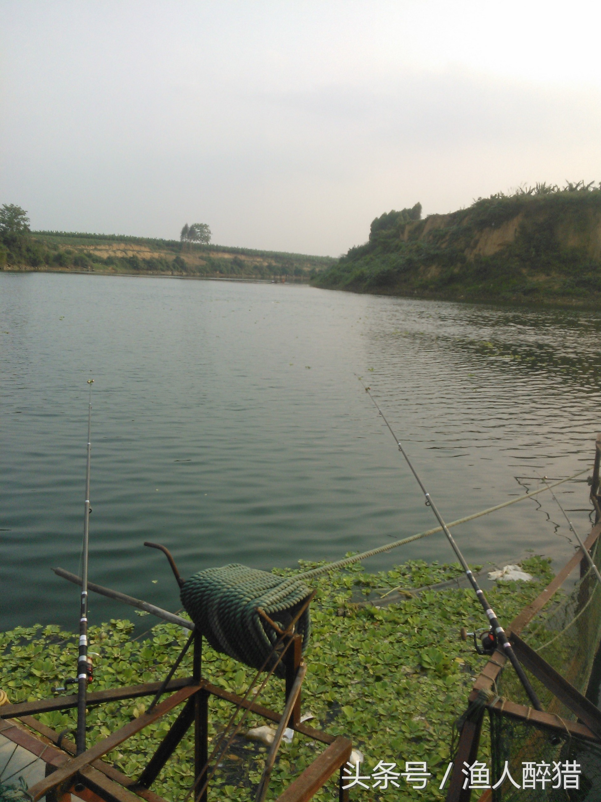 浮钓遇小鱼闹窝,钓鲢鳙怎么避免小鱼闹钩