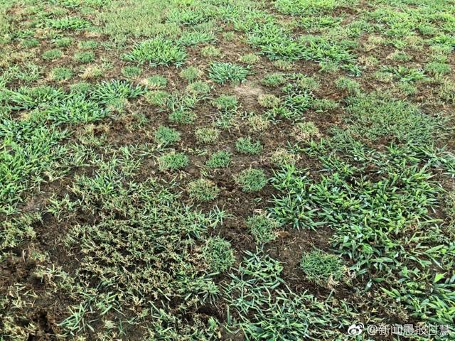 中超联赛草坪之殇不过就是中超联赛的一个缩影