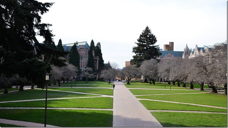 西雅图华盛顿大学最新排名,华盛顿大学西雅图究竟如何