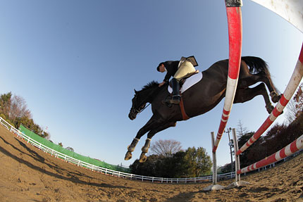 单反相机新手零基础教学佳能相机,佳能数码相机摄影技巧大全