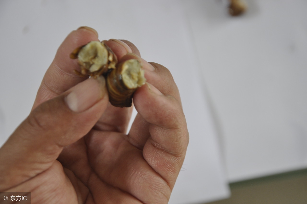 怎么检查宝宝鼻子塞入异物,如何预防孩子将异物塞入