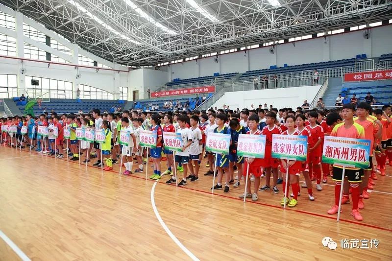 湖南省青少年校园足球高中总决赛,湖南青少年校园足球联赛