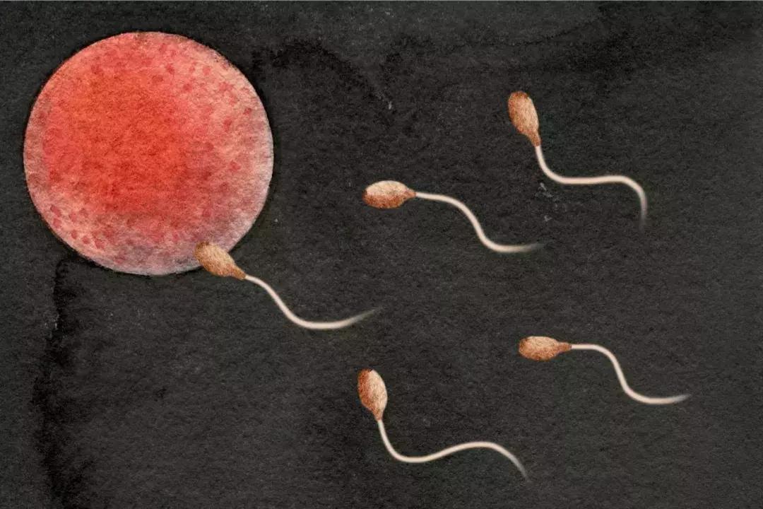 生活把女人逼得太狠，她们做了这样一个决定