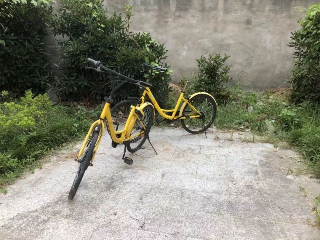 作价14亿美元，ofo终被“贱卖”？