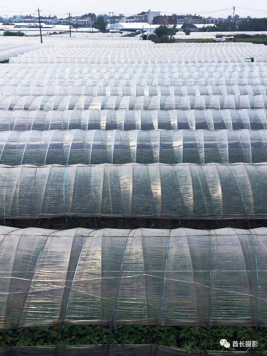 和县南京,南京悠闲的地方