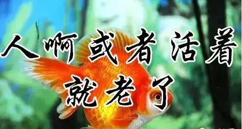 知足常乐要开开心心的过生活,知足常乐过简单的穷日子