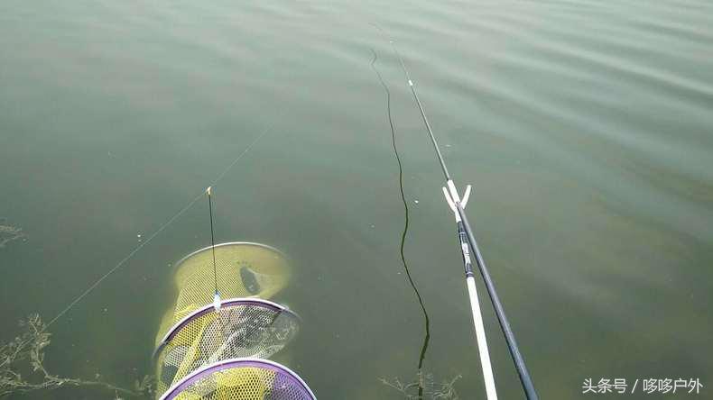 5-10斤鱼主线子线搭配,夏季主线和子线搭配一览表