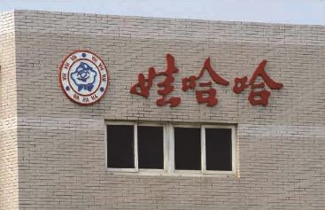 娃哈哈纯羊奶,娃哈哈大败局视频