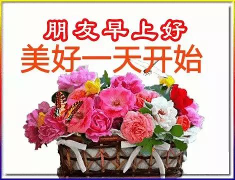 漂亮鲜花动态早上好表情图片,早上好最美的玫瑰花动态表情包