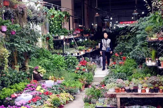 那些留在县城的年轻人后来怎样,那些返乡的年轻人后来都怎么样了